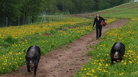 SWR betrifft: Gesunde Ernährung, Bild 6